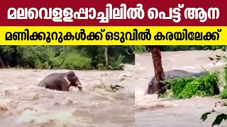 മലവെളളപ്പാച്ചിലില്‍ പെട്ട് ആന, മണിക്കൂറുകള്‍ക്ക് ഒടുവില്‍ കരയിലേക്ക്‌ | Athirappilly | Kerala Rains