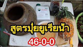 สูตรปุ๋ยยูเรียน้ำ 46-0-0 ทำเองด้วยงบ 100 บาท