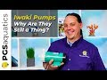 Iwaki Pumps - Why Are They Still a Thing?