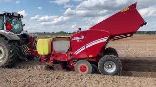 Посадка картофеля 2021 GRIMME GL 430 VALTRA N 174 VERSU