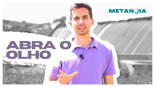 ABRA O OLHO - METANOIA - Erick Vidal