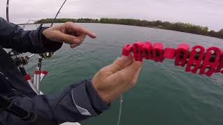 Planer board fishing how to- lake ontario fishing tips