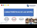 Características de la Mypes