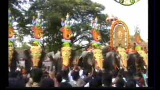 chembuchira pooram tcv.wmv