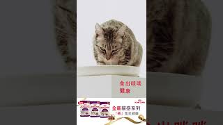 Royal Canin 全新貓感濕糧系列