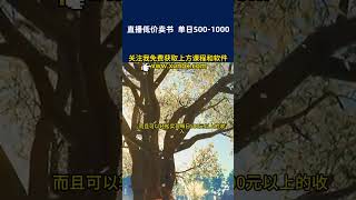 抖音半无人直播，1 99元卖书项目，简单操作轻松日入500＋