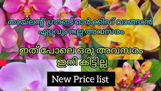 മറ്റുള്ളവരുടെ വീട്ടിൽ കണ്ടിട്ട്, ചോദിച്ചു നോക്കിയിട്ടും തരാത്ത ഗ്രൗണ്ട് ഓർക്കിഡ് ഇതാ ഇവിടെ8606386934