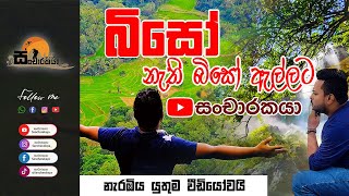 බිසෝ නැති බිසෝ ඇල්ලට සංචාරකයා | Biso Ella Yatawatta Sri Lanka