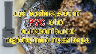 ചൂട് കൂടിവരുകയാണ്  PVC യില്‍  ചെറുതേനീചെയെ  വളര്‍ത്തുന്നവര്‍  സൂക്ഷിക്കുക