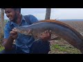 ഒരു ഹെവി ചെറുമീൻ🤗 snakehead_fishing kerala_fishing lure_casting