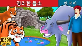 영리한 들소 | Intelligent Buffalo in Korean | 동화 | 잘 때 듣는 동화 | 만화 애니메이션 | Korean Fairy Tales