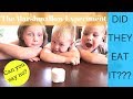 THE MARSHMALLOW EXPERIMENT 😂 // A LESSON IN INSTANT GRATIFICATION // AMANDA SANDEFUR //2018