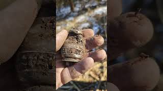 STERLING! #metaldetecting #shorts  #youtubeshorts