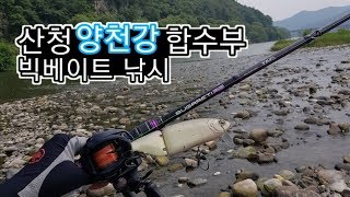 [리에브] 산청 양천강 합수부 포인트 빅베이트 원태클 빅원 배스낚시 !