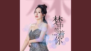 梦中等着你 (DJ何鹏版)