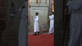 Entrance Procession for Christmas mid night mass #basilica #faith #cathedral