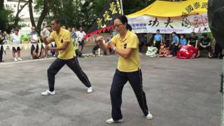 張國泰武術會(龍形拳) - 董館功夫閣20160522