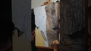 Painting Elephants IMG 2672