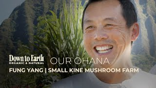 Small Kine Farms: Organic Mushrooms Help Avoid Waste | Support LOCAL | Hawaii