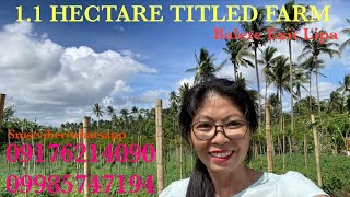 Vlog497: 1.1 HECTARE FARM NEAR BALETE EXIT STAR TOLL FOR SALE IN LIPA CITY BATANGAS PHILIPPINES