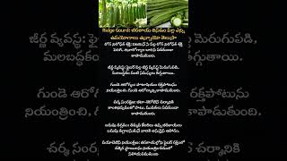 Ridge Gourd: బీరకాయ తినడం వల్ల ఎన్ని ఉపయోగాలు ఉన్నాయో తెలుసా