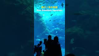 New Enoshima Aquarium 新江ノ島水族館へおでかけ #shorts