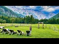 🇸🇮 Slovenia: Valea Logar (Logarska Dolina), 4k HDR - iul.2022