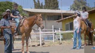 נקודת חן  - חוות סוסים בעין זיון  | קופונופש