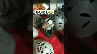 第45回丹波焼陶器     まつり#shorts🥰