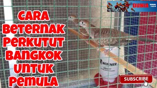 Playtube Pk Ultimate Video Sharing Website