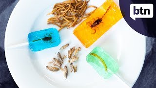 Eating Insects - Behind the News