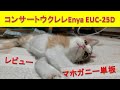 コンサートウクレレ　Enya EUC 25D　レビュー