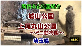 【冬の散歩】のんびりと散策してきました。城山公園（埼玉県桶川市）・上尾丸山公園（埼玉県上尾市）　2025.2.14