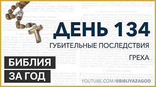 День 134: Губительные последствия греха– «Библия за год» с о.Майком Шмитцем