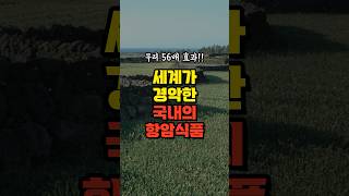 세계 최고의 항암 식품 | 항암 효과 무려 56배 | 강력한 항암 음식 3가지 | 건강히 먹는 방법 | 무조건 이렇게 드세요 | 치매 암 싹 다 사라집니다 | 함께 먹으면 좋아요