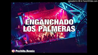 LOS PALMERAS ✘ ENGANCHADO #2 ✘ REMIX FIESTERO ✘ PECHITO REMIX 🌴