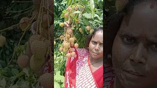 Lichi Eating । লিচু খাওয়া #Shorta#trending#food