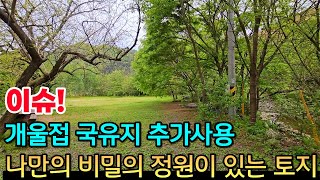 (이슈) 1639평의 넓은 부지 + 국유지 900여평 추가 사용. 나만의 비밀의 정원이 있는 토지 - 힐링하우스TV (강원도 홍천군)