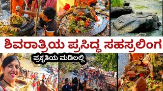 ಸಹಸ್ರಲಿಂಗಕ್ಕೆ ಹೋದರೆ ಏನಾಗುತ್ತೆ 😱?| ಇಲ್ಲಿನ ವಿಶೇಷತೆ ಏನು ?Sahasralinga |Shivaratri Vlog |The Veg Wonders