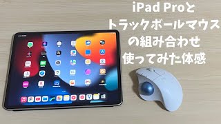 iPadとトラックボールマウスの組み合わせで1年使った感想【省スペース・手がラク】