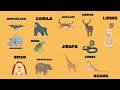 Тварини Африки для дітей іспанською. animales de africa. español para niños. Іспанська для діток.