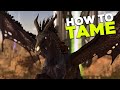 How To Tame The Dreadmare!