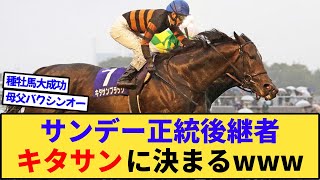 【競馬】サンデー正統後継者、キタサンブラックに決まるwww