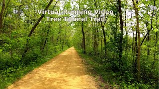 Immerse Yourself in Nature: Virtual Trail Running for Treadmill Workouts with Soothing Nature Sounds