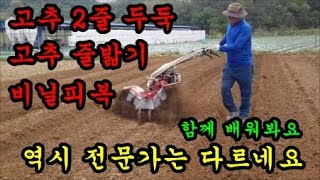 고추농사  고추2줄 두둑만들기 관리기옆으로 타기 고추2줄심기 고추 2줄 지지대묶는방법 Making chili pepper