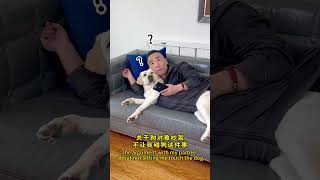 关于和老婆吵架，不让我碰狗这件事儿... About the argument with my wife, about not letting me touch the dog...