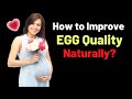 10 Ways to Improve Egg Quality in Women Naturally | VisitJoy