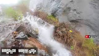 Nellappara Waterfalls [Pala Thodupuzha road]