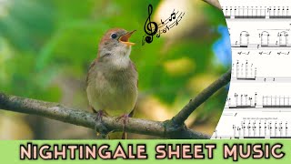 Download Lagu Common Nightingale Song in Sheet Music... MP3 Gratis
