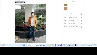 Javascript Project to Extract All Colors From Images and Display it in Browser
